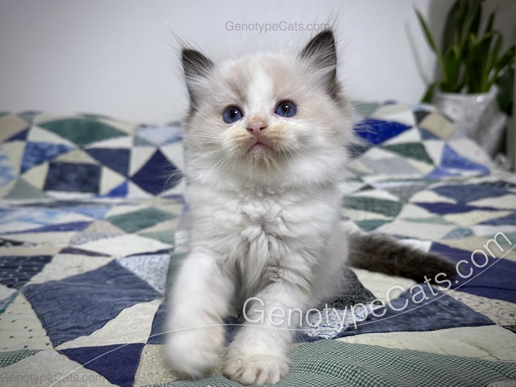 Ernie photo 14