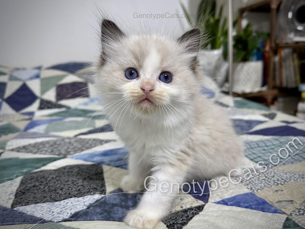 Ernie photo 23