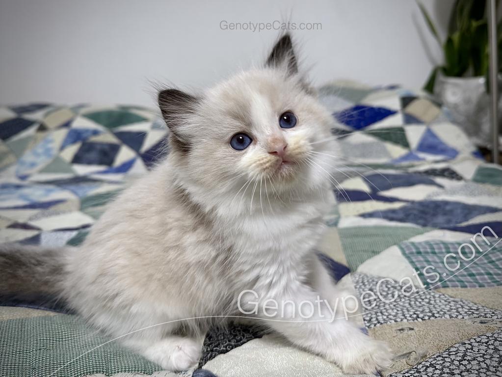 Ernie photo 38
