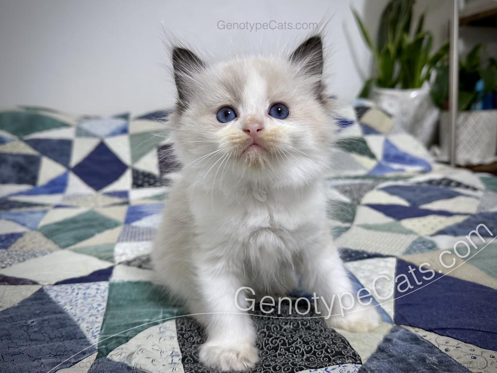 Ernie photo 37