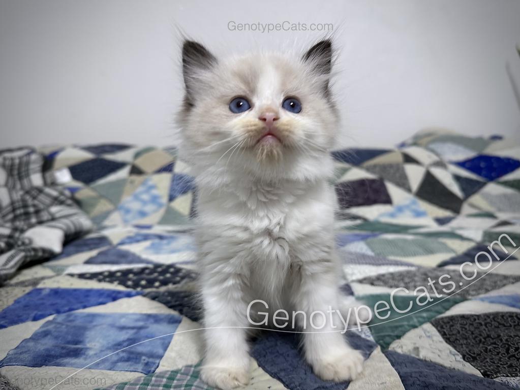 Ernie photo 3
