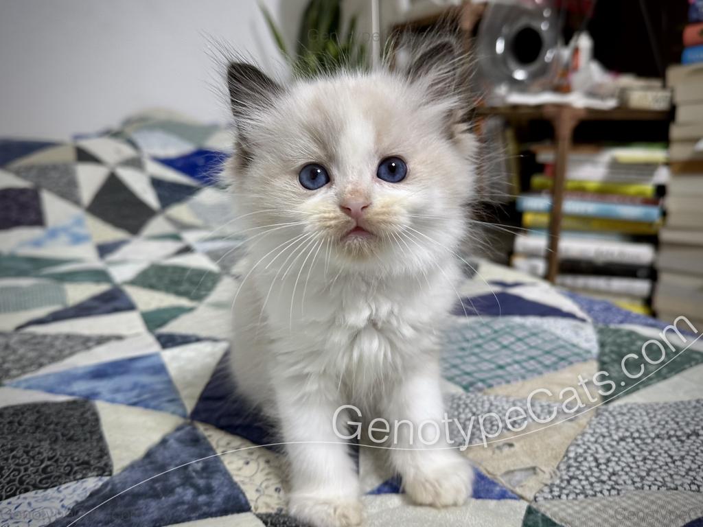 Ernie photo 25