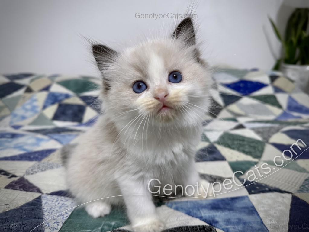 Ernie photo 17