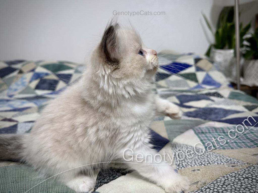 Ernie photo 39