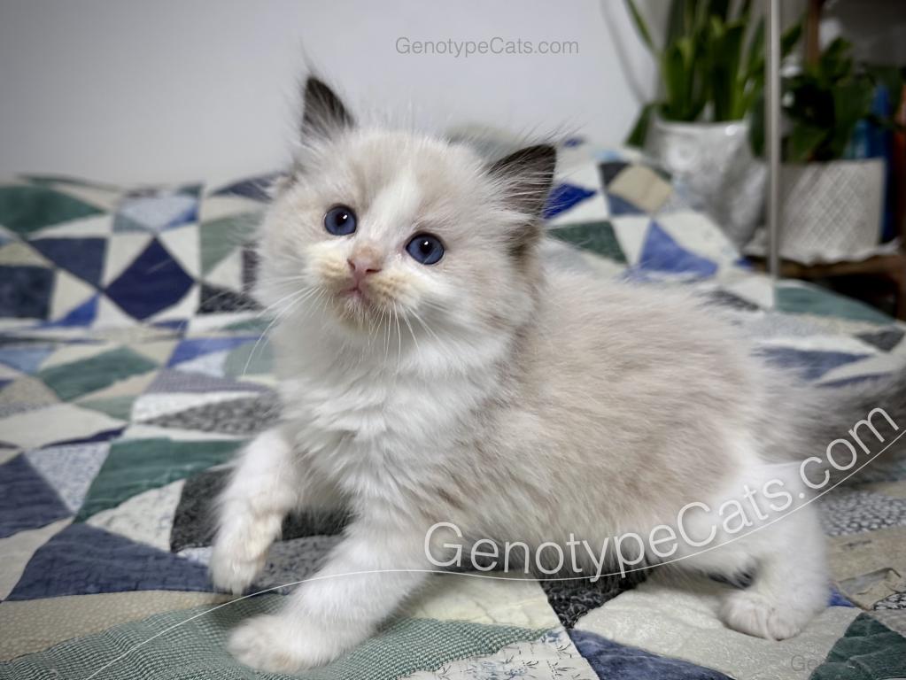 Ernie photo 12