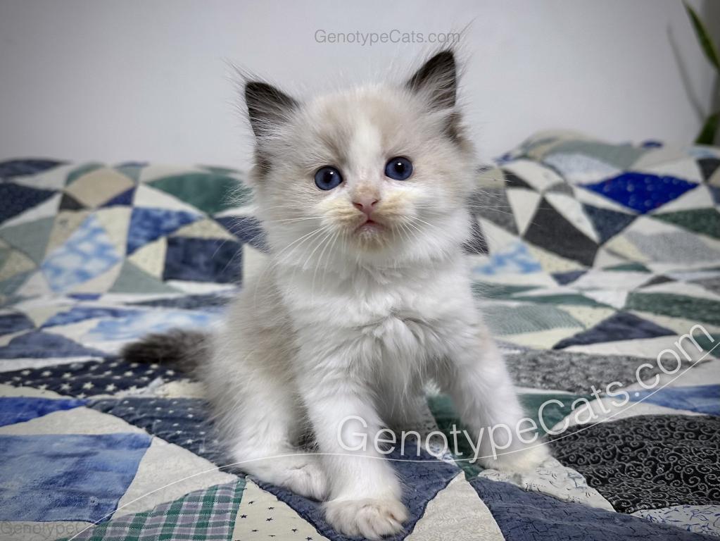Ernie photo 1