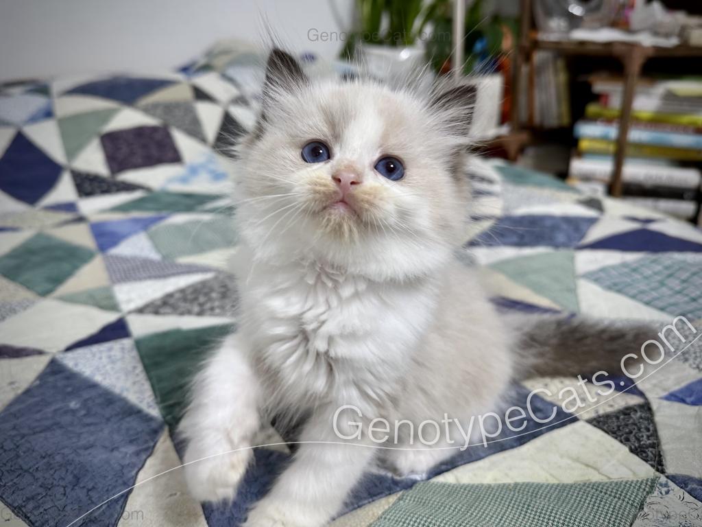 Ernie photo 8