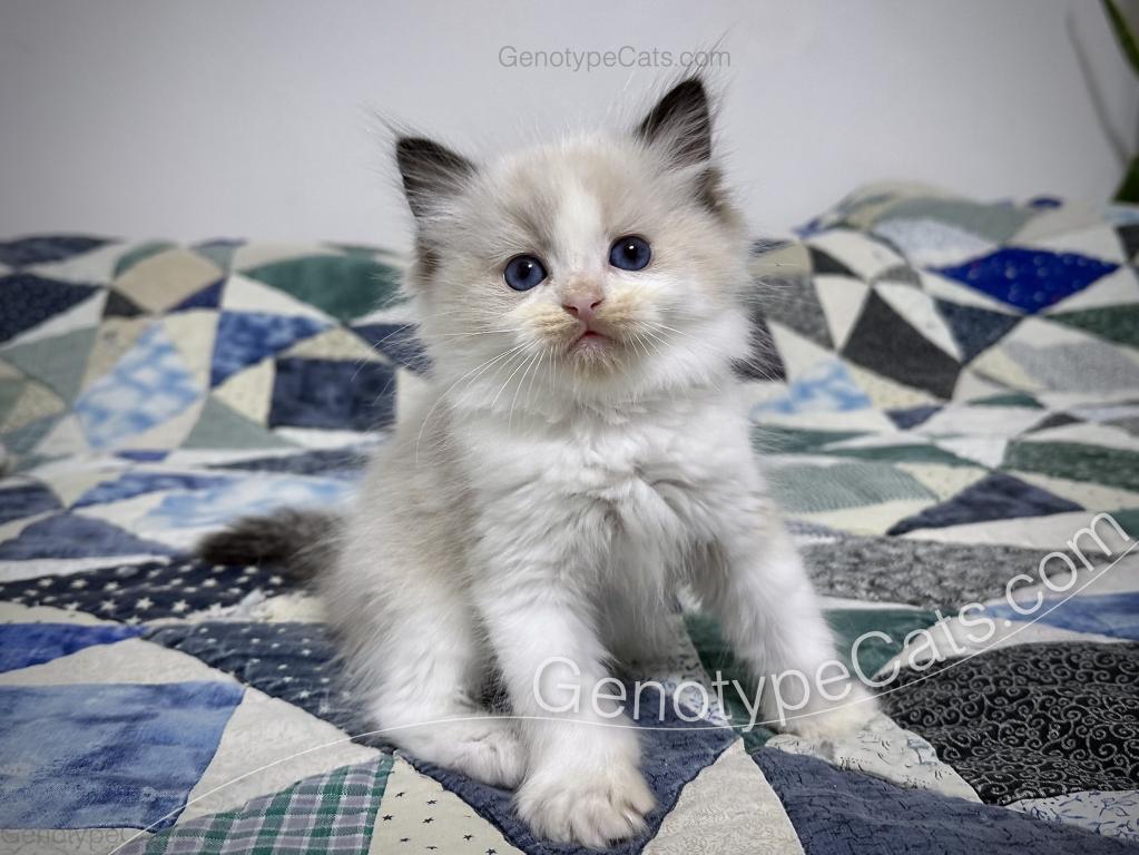 Ernie photo 2