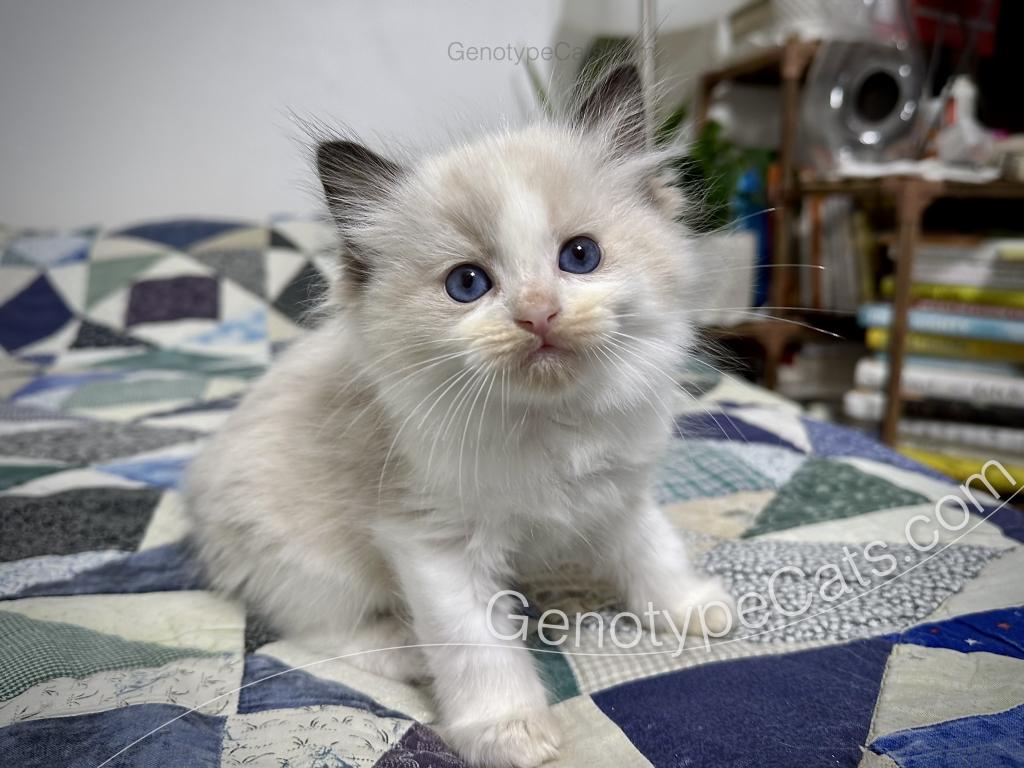 Ernie photo 41
