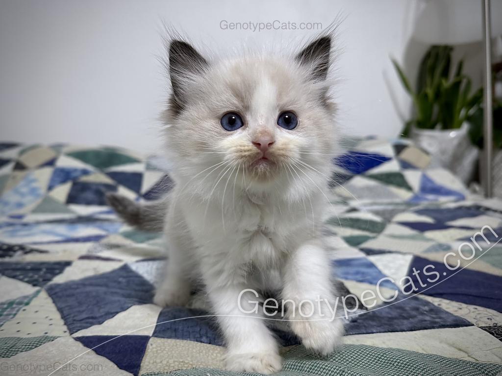 Ernie photo 35