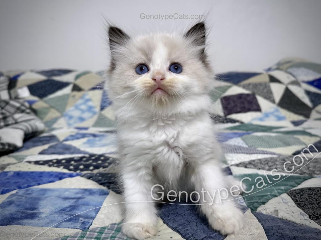 Ernie photo 4