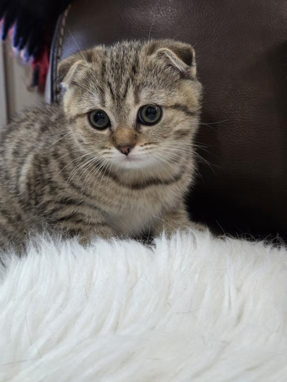 Barbara's New Litter photo 36