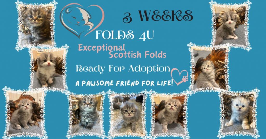 Maddie Mac Litter 3 Week 3