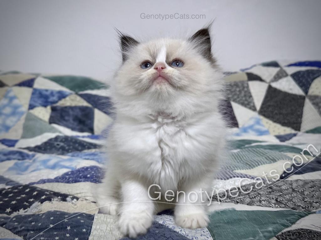 Morag photo 25