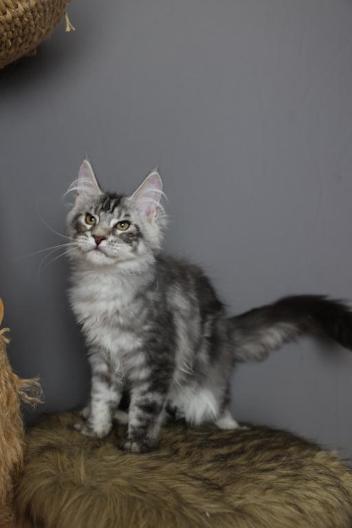 Hunter photo 5