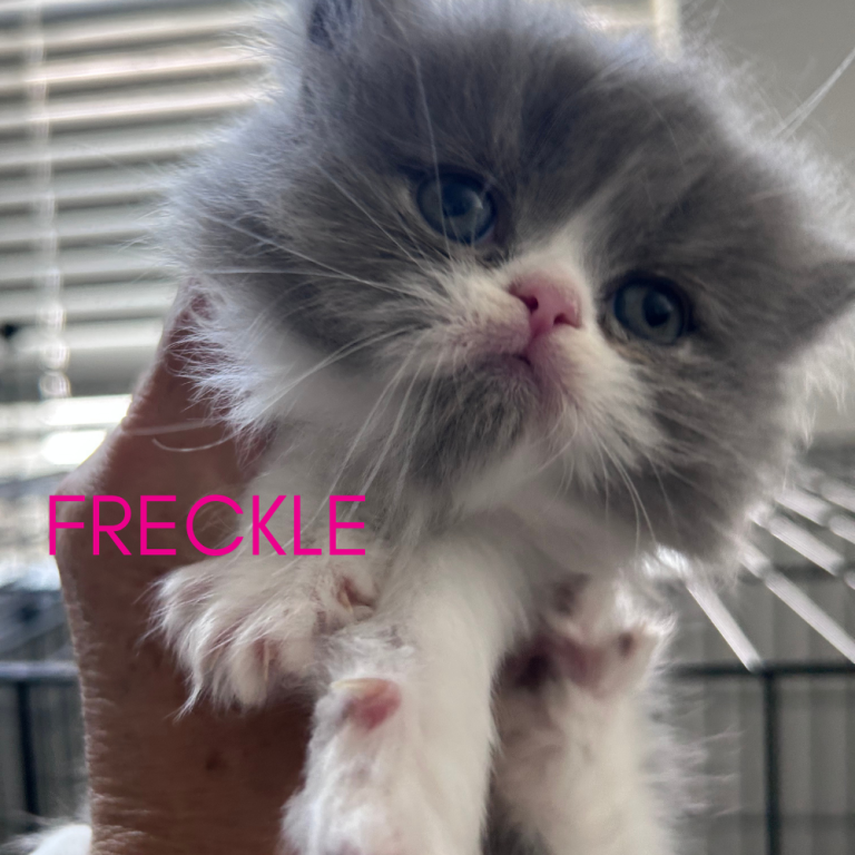 Freckle photo 1