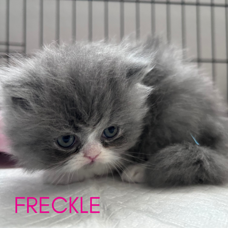 Freckle photo 2