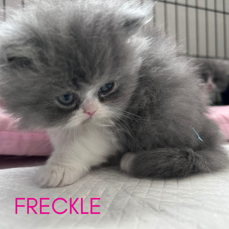 Freckle photo 3