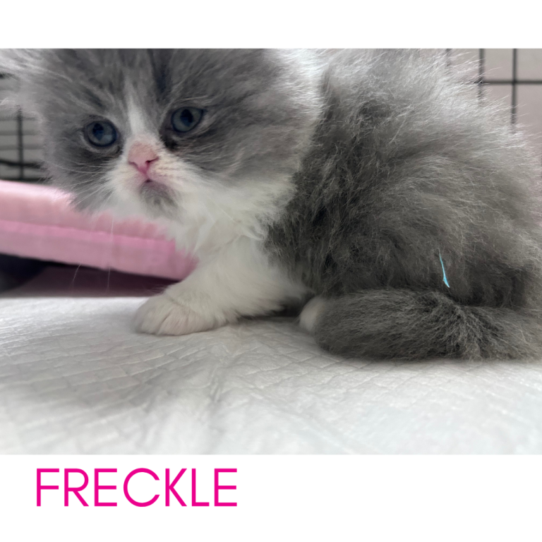 Freckle photo 6