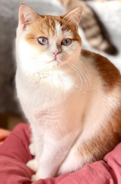 Oscar photo 2