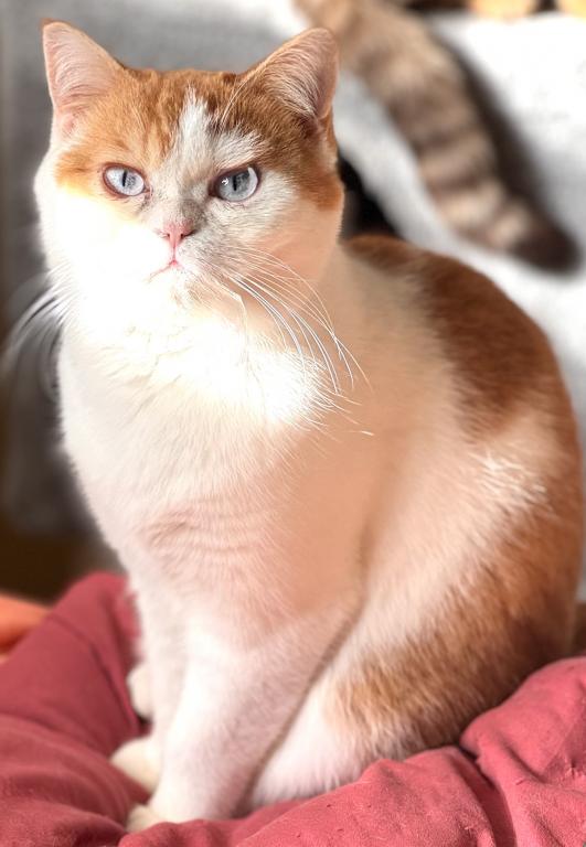 Oscar photo 1