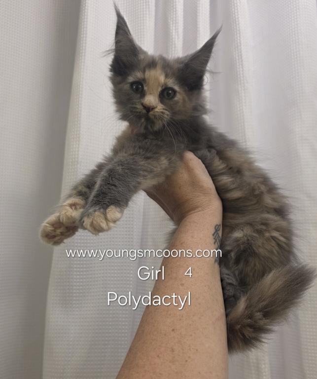 Girl 4 Polydactyl photo 1