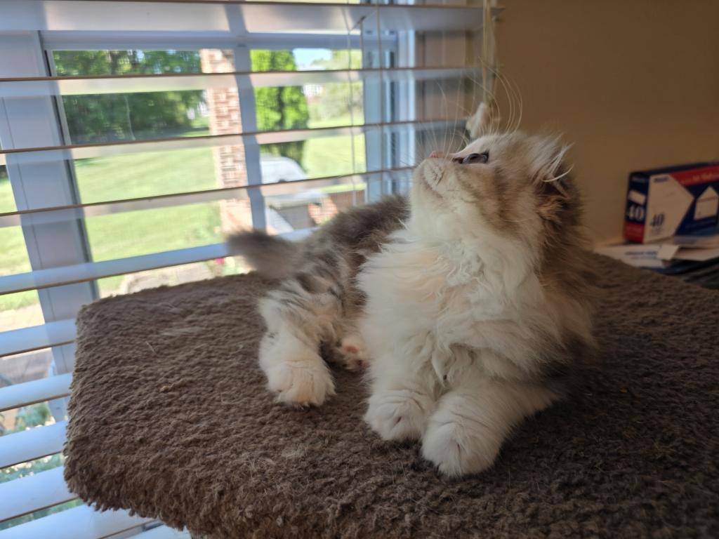 Cloud photo 9
