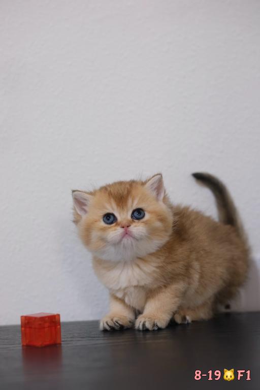 Mia photo 4