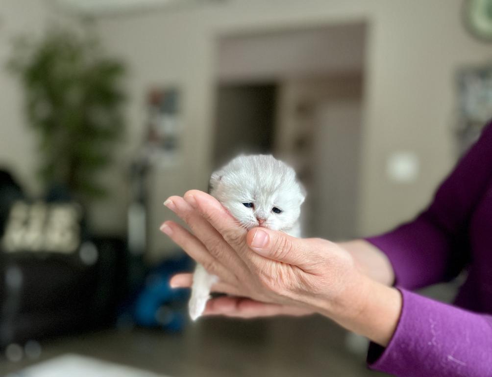 M Litter photo 9