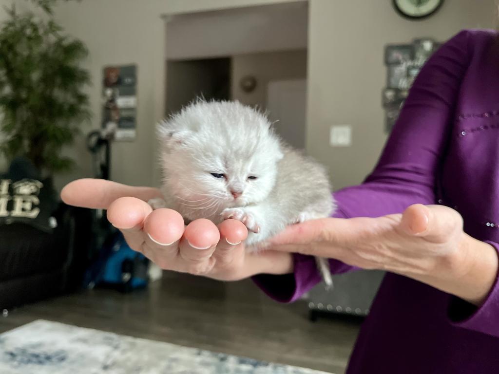 M Litter photo 10