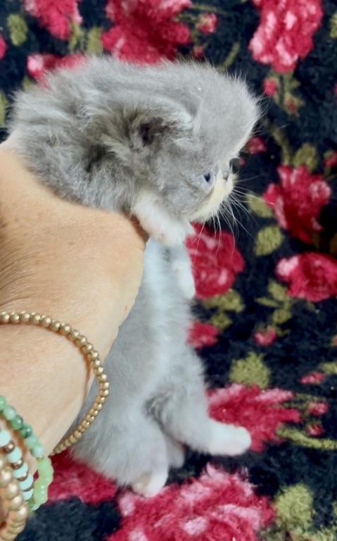 Edith photo 13