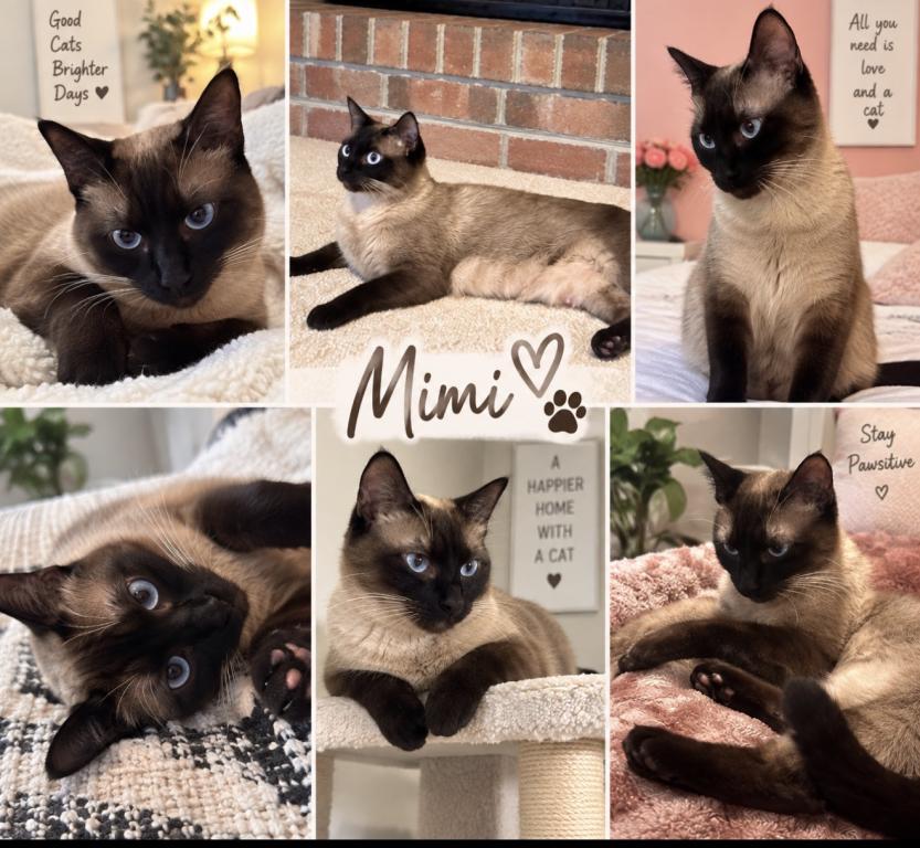 Mimi photo 1