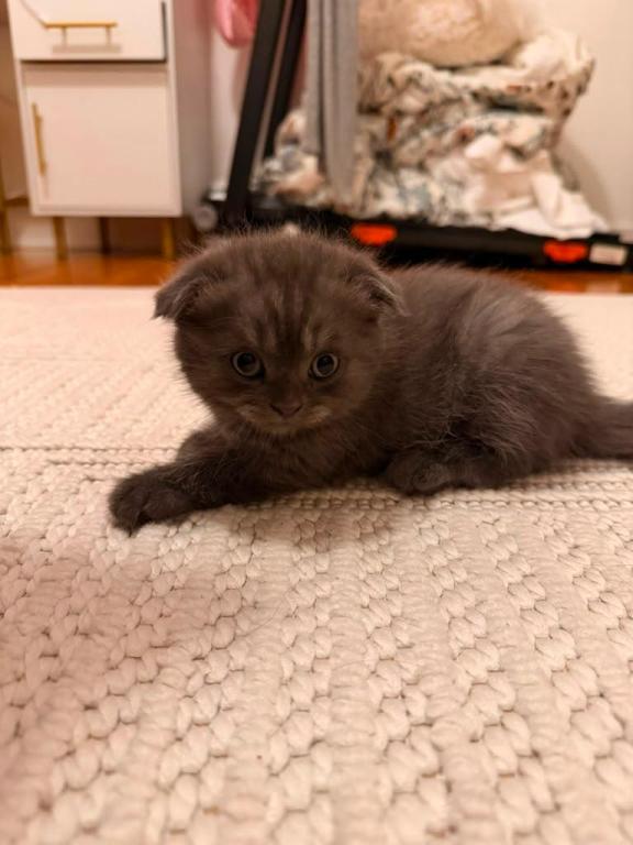 Cuties photo 4