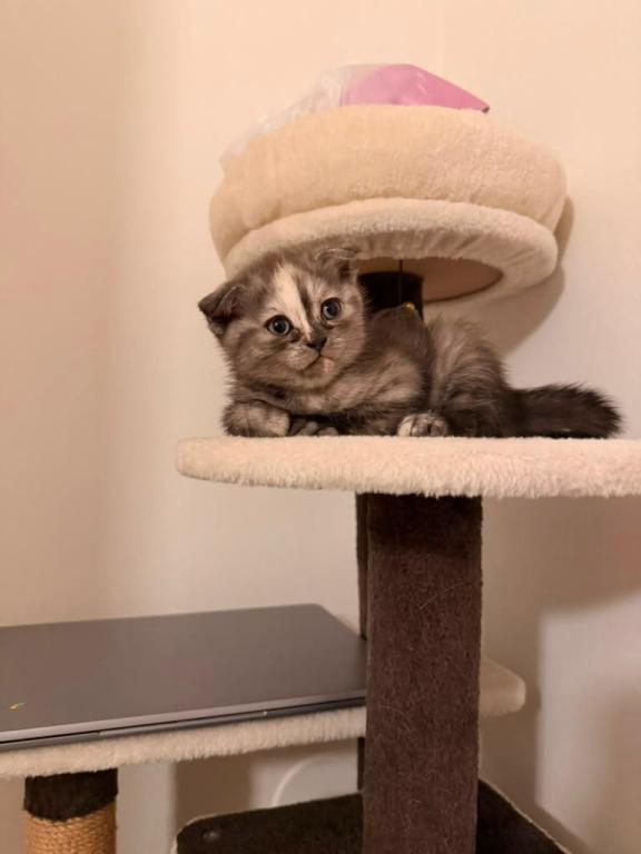 Cuties photo 2