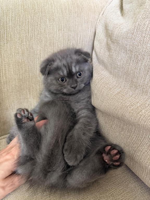 Cuties photo 1
