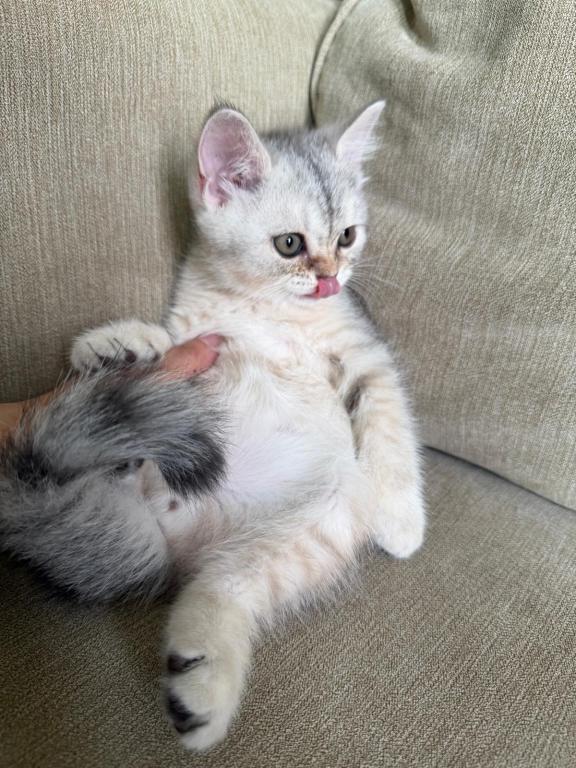 Cuties photo 5
