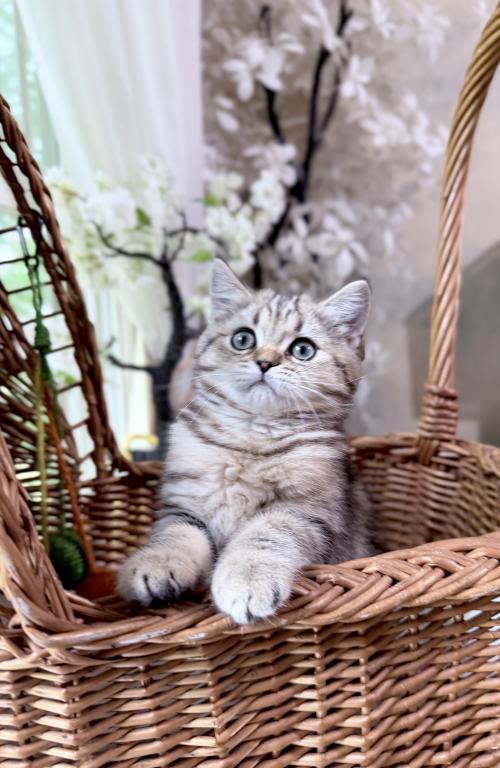 Luna photo 3