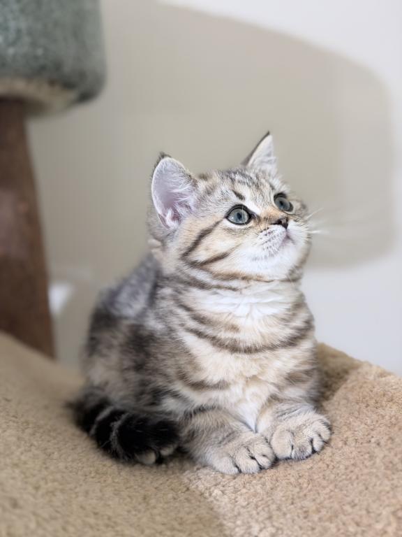 Luna photo 4