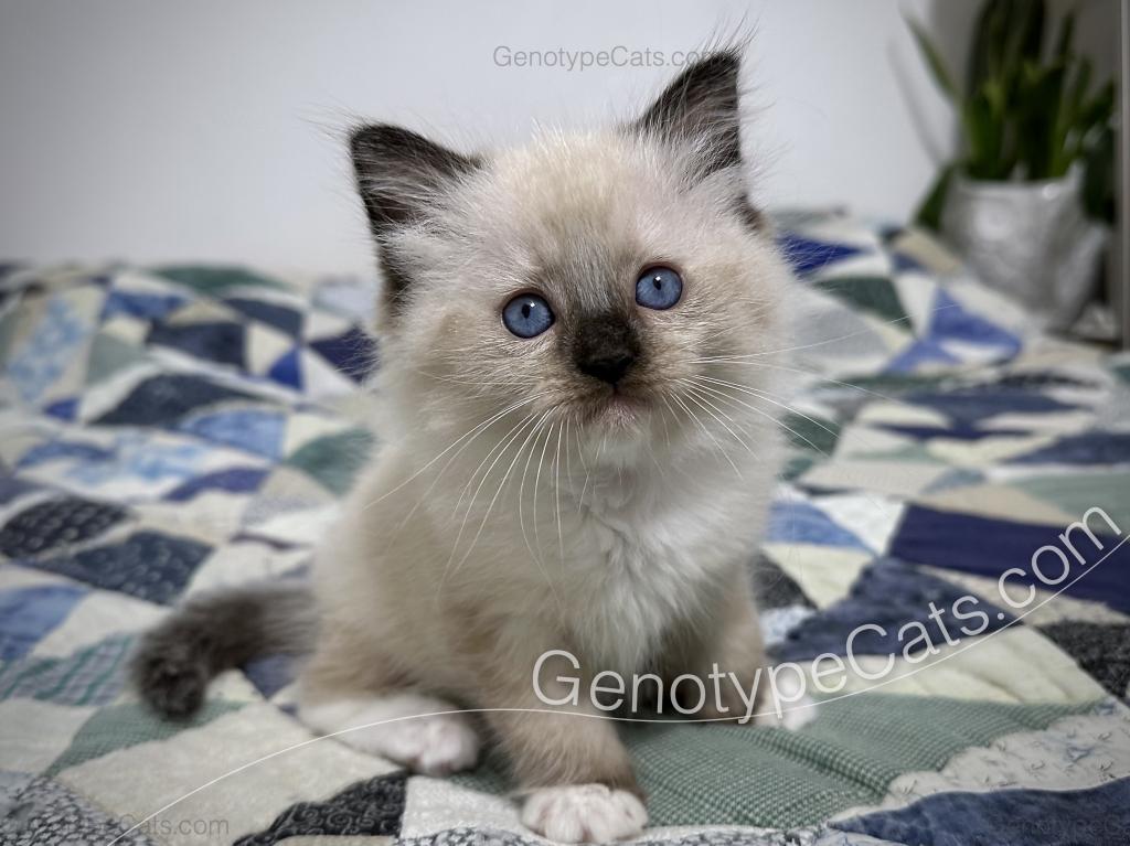 Millicent photo 3