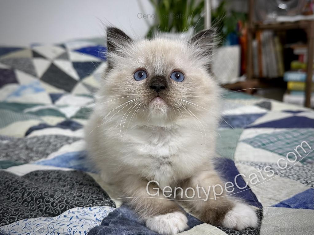Millicent photo 36