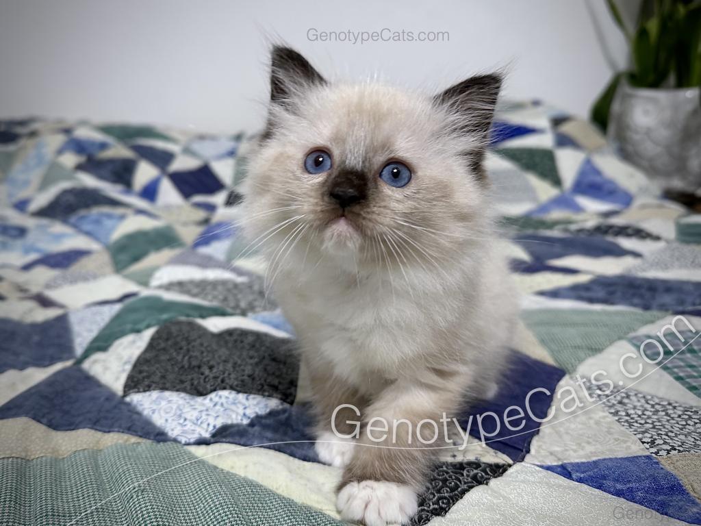 Millicent photo 35