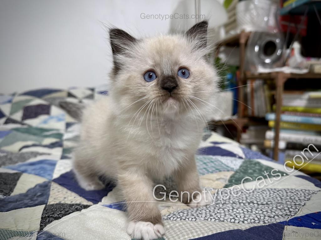 Millicent photo 27