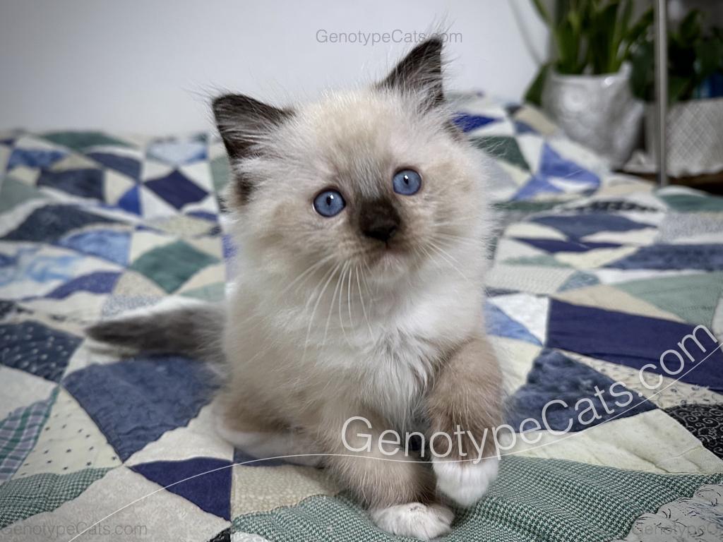 Millicent photo 9