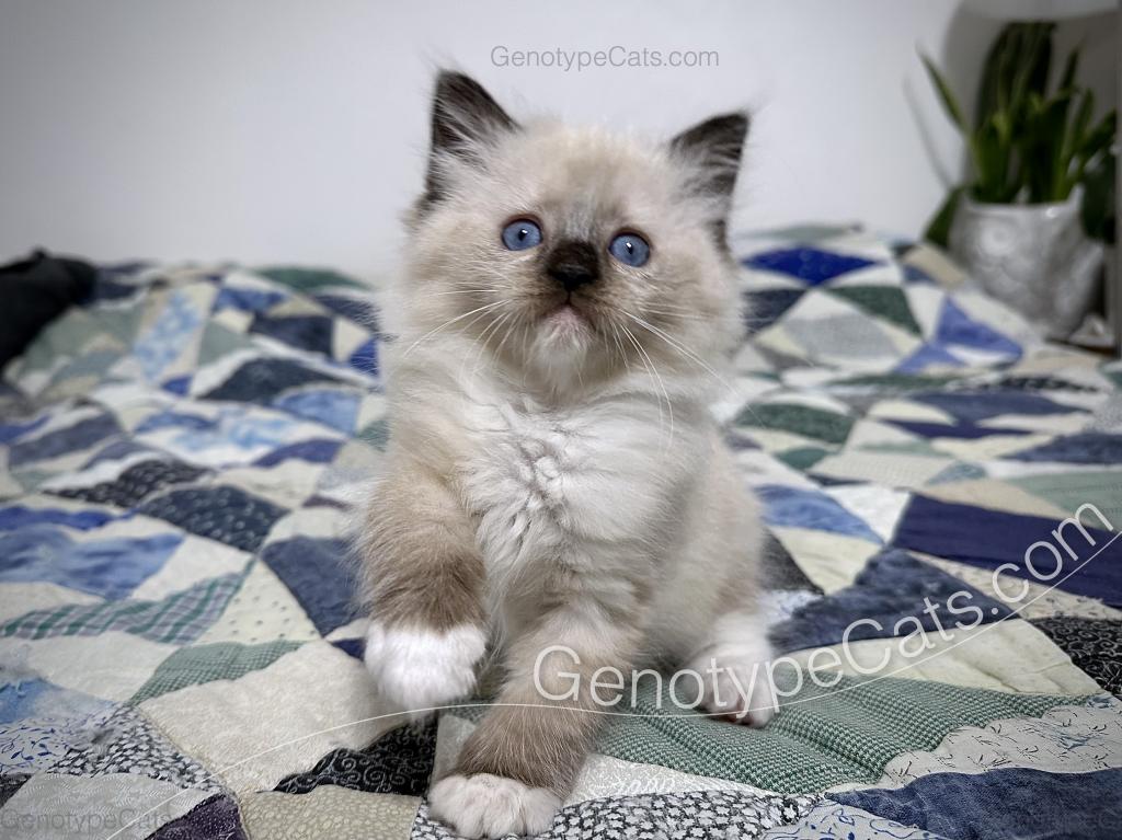 Millicent photo 8