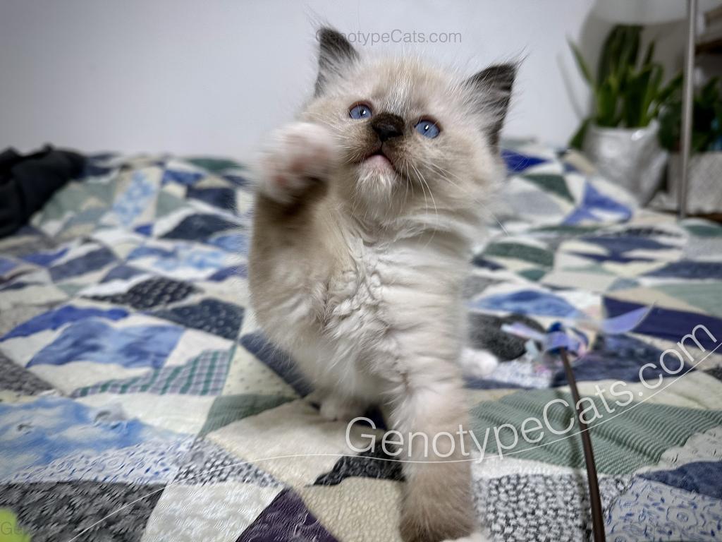 Millicent photo 4
