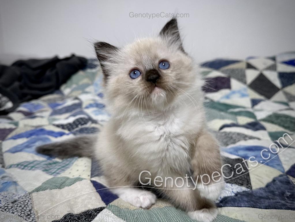 Millicent photo 20