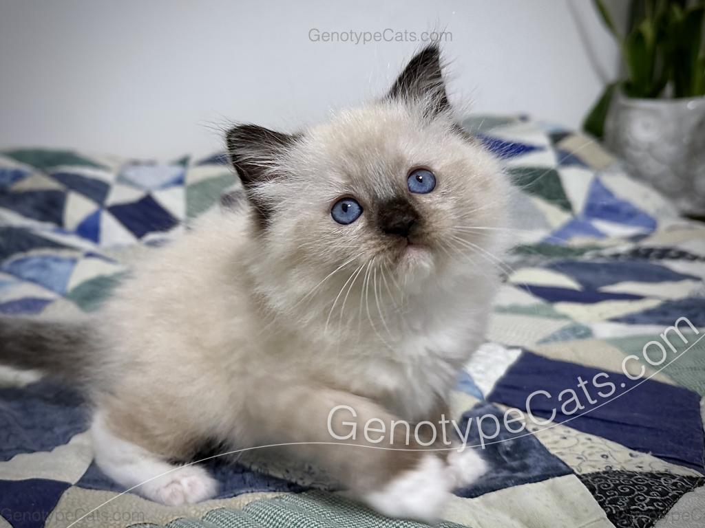 Millicent photo 13