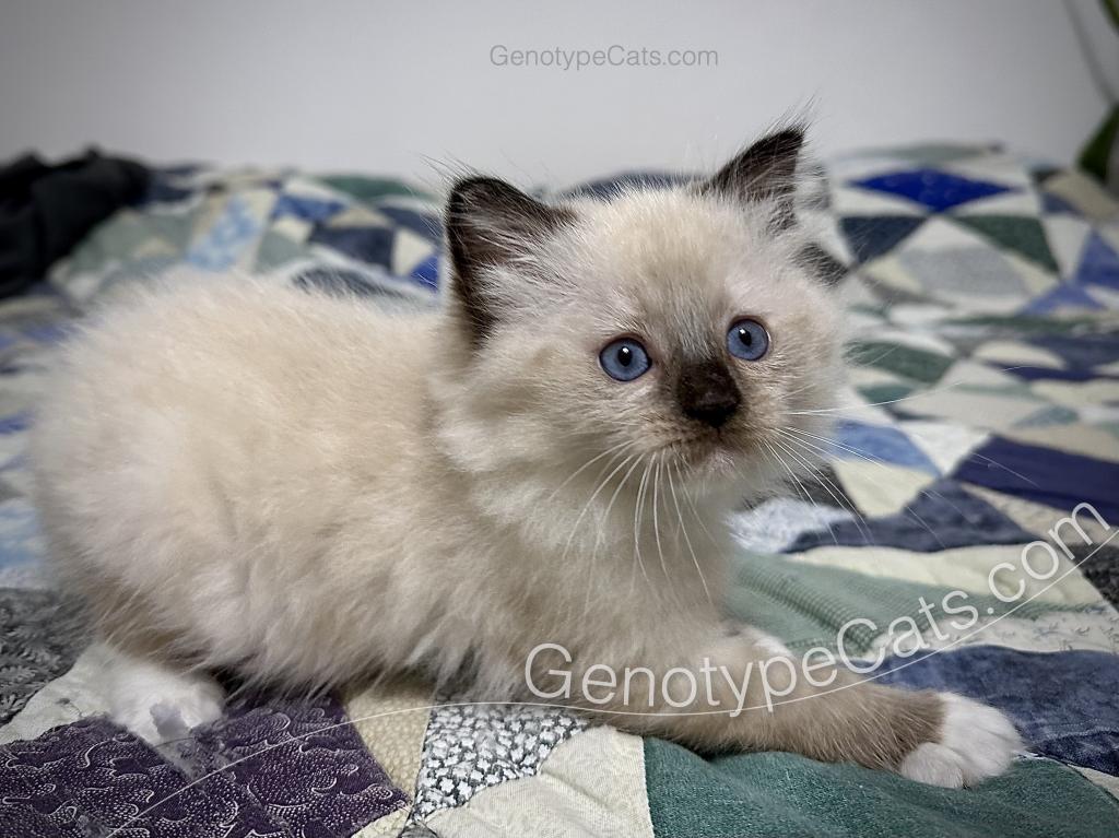 Millicent photo 18