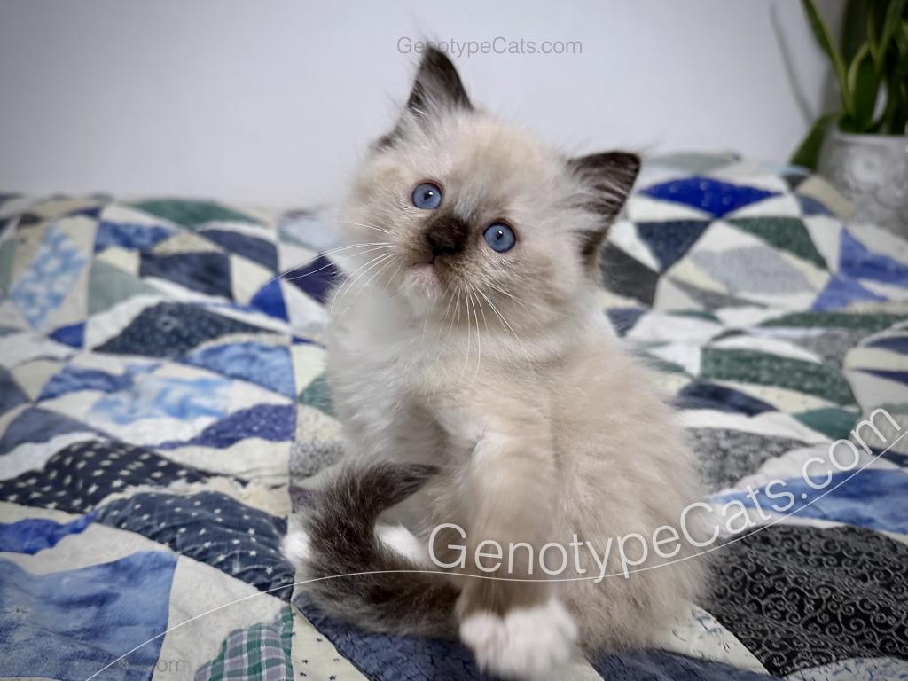 Millicent photo 15