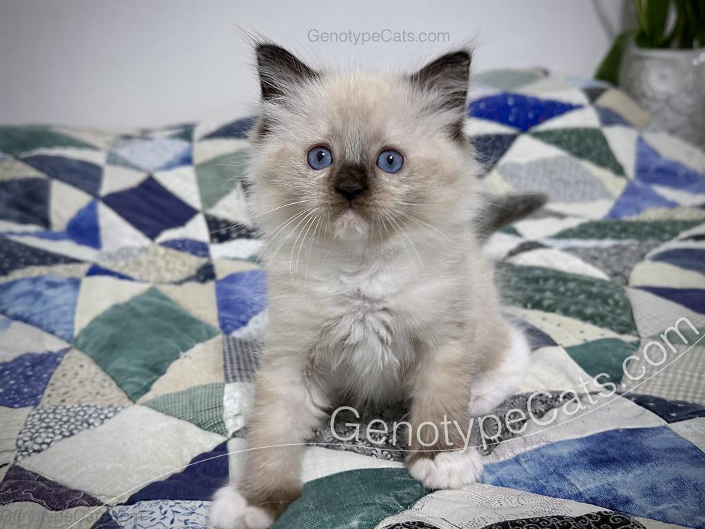 Millicent photo 28